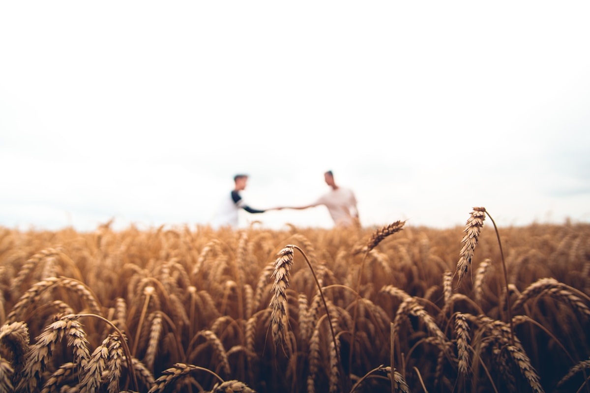 Área rural com lavoura e vegetação, representando a conexão com a terra