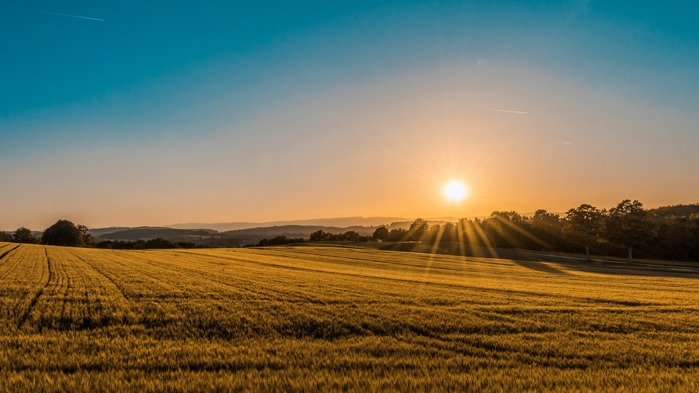 Paisagem de campo iluminada pelo sol